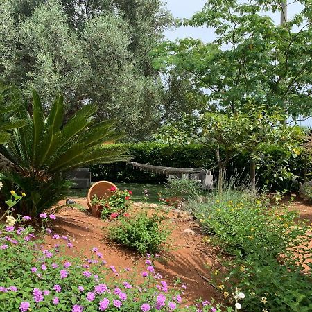 B&B All'Ombra Degli Ulivi Ostuni Eksteriør bilde