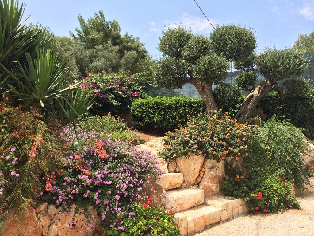 B&B All'Ombra Degli Ulivi Ostuni Eksteriør bilde