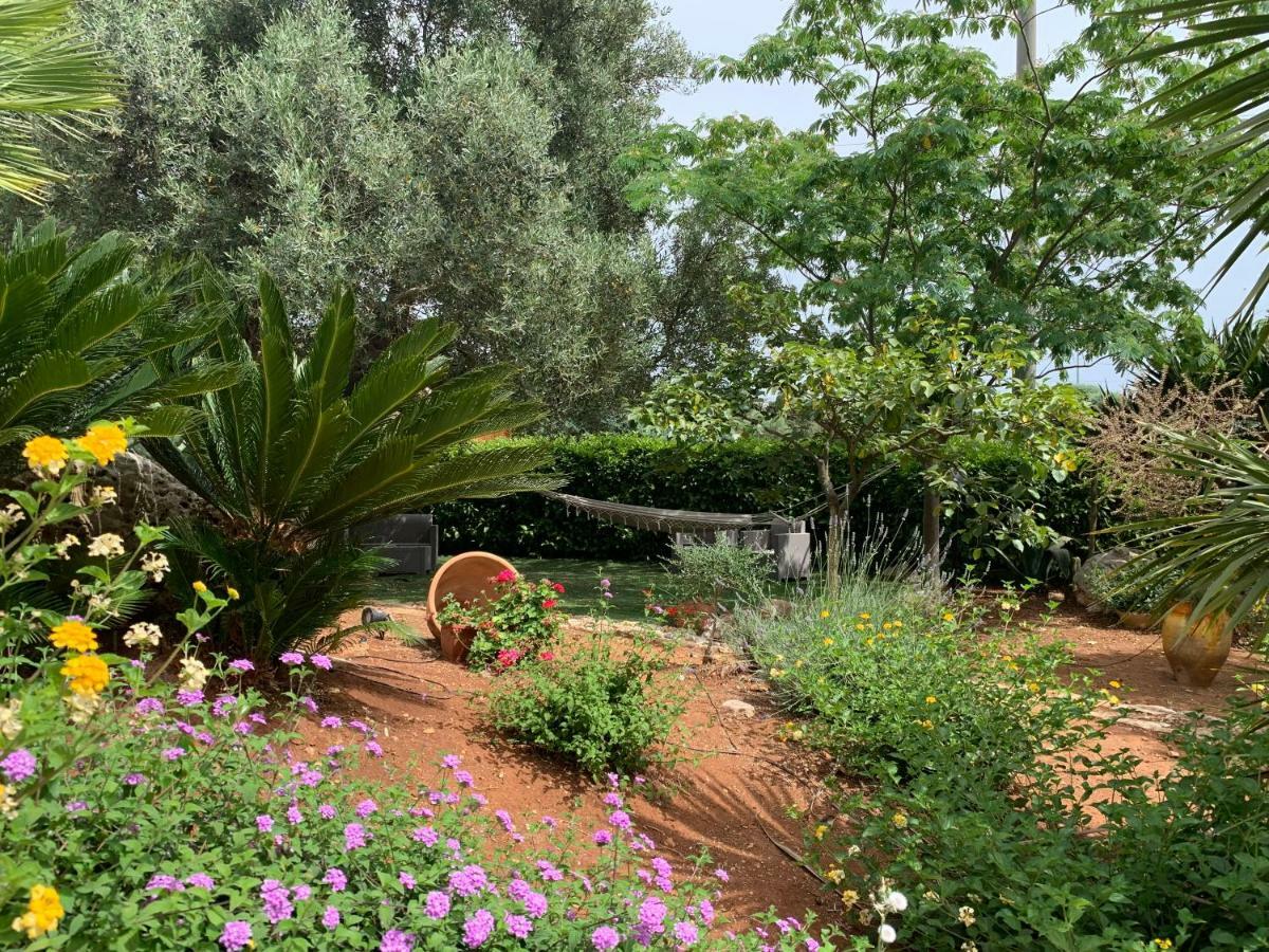 B&B All'Ombra Degli Ulivi Ostuni Eksteriør bilde
